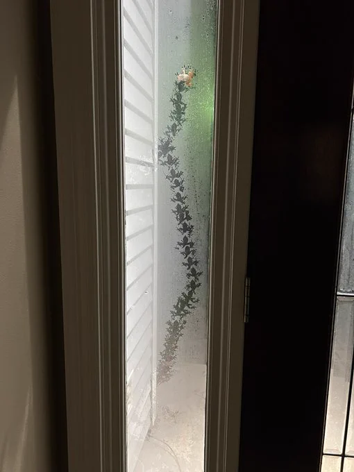 玄関のガラス扉に足跡！？カエルの道のりがわかりやすくて笑えるw