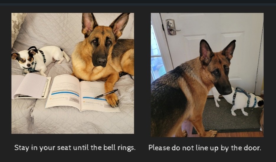 Having fun with the classroom rules presentation.