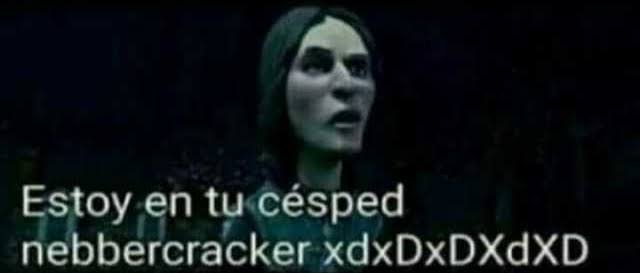 Gine floki Miranda ζ tweet media
