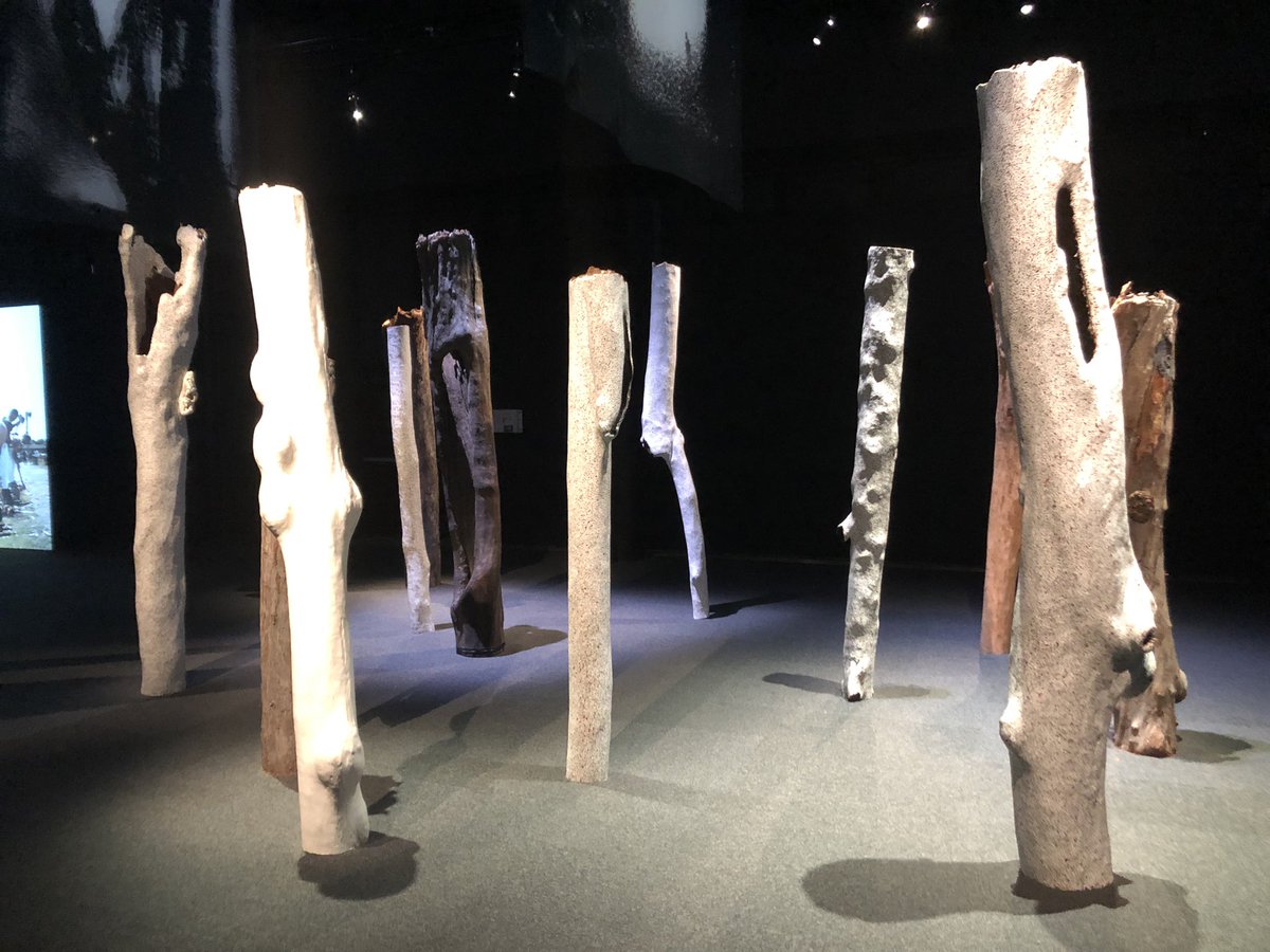Excited to see the Eucalyptusdom exhibition @maasmuseum one more time with colleagues from @ccwm_sydney - just as stunning and moving an exhibition as the first time I saw it. Don’t miss out before it closes