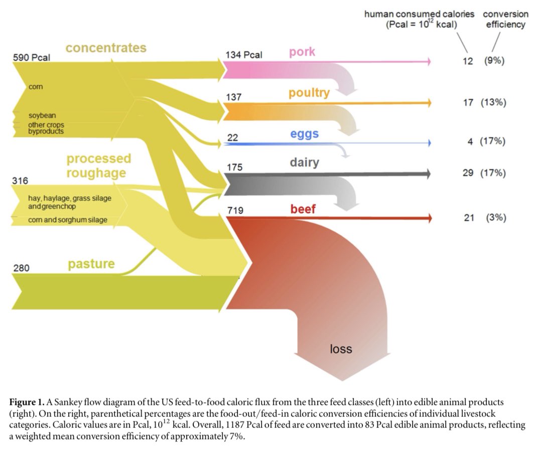 Meat production has a 7% mean caloric conversion efficiency.

iopscience.iop.org/article/10.108…