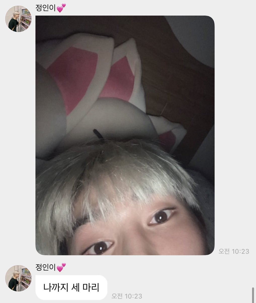 divefordolphin's tweet photo. 정인이 진짜 귀엽다
나까지 세마리 ㅜ.ㅜ https://t.co/L9ZgfttH4w