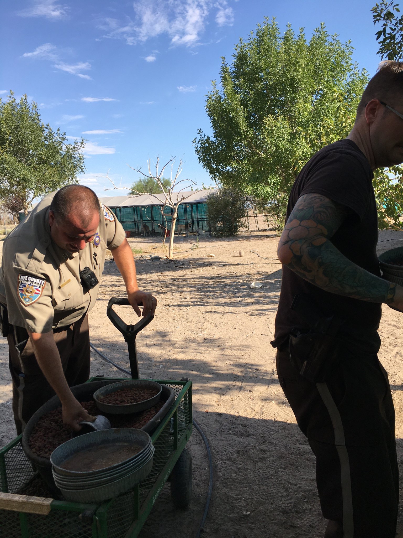 Nye County Sheriff on Twitter