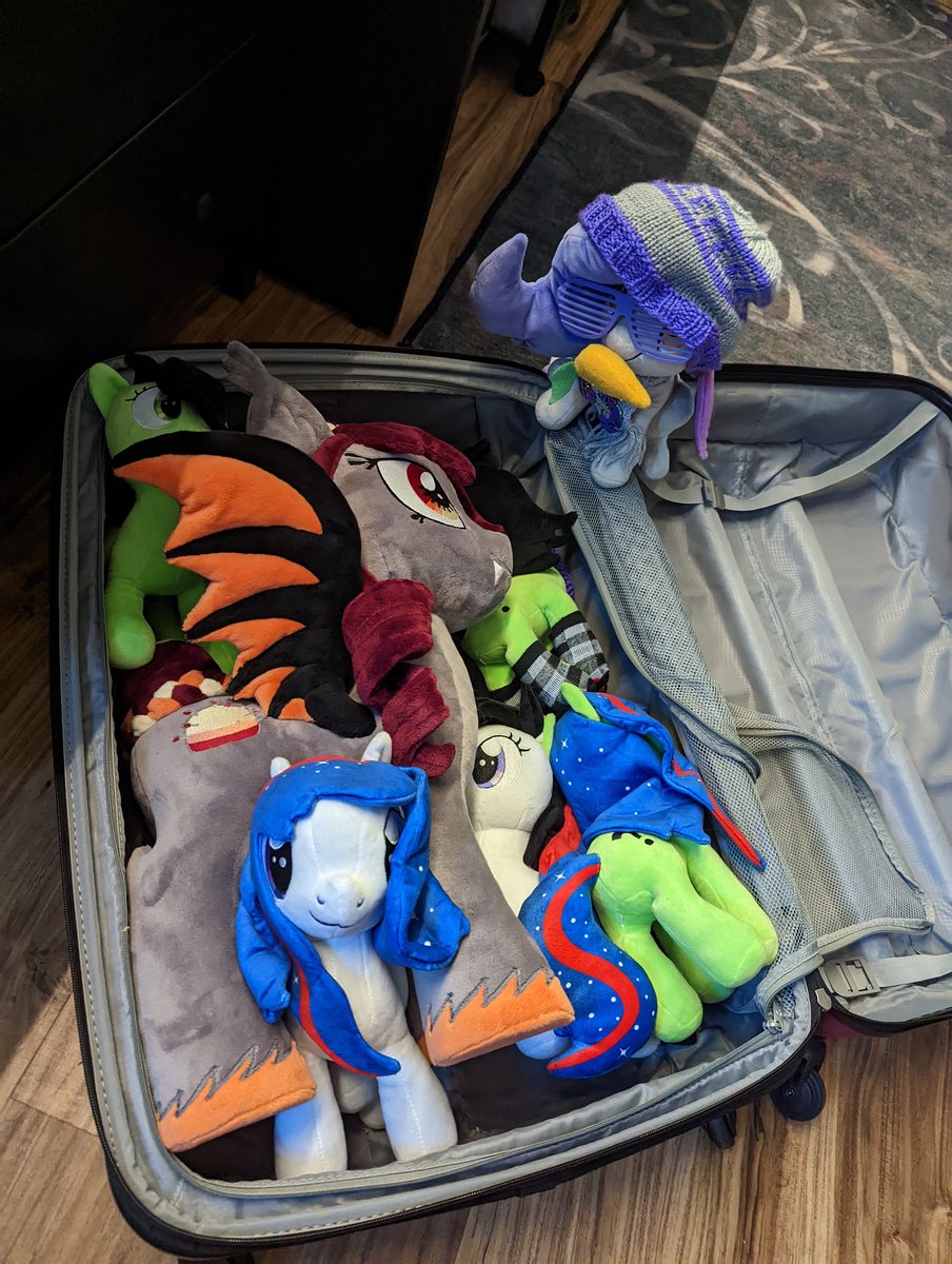 mysadbat's tweet photo. My bat is sad because she is getting coach when she asked for first class and there is a bigger bat than her so she knows she will end up in the middle seat squished uncomfortably and that's no way for a bat to travel https://t.co/mfpfXVqPby