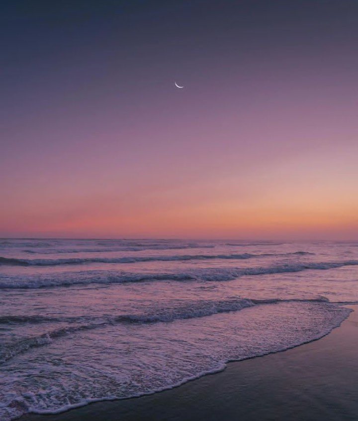 ♡NATURALEZA (@knownmeno) on Twitter photo 