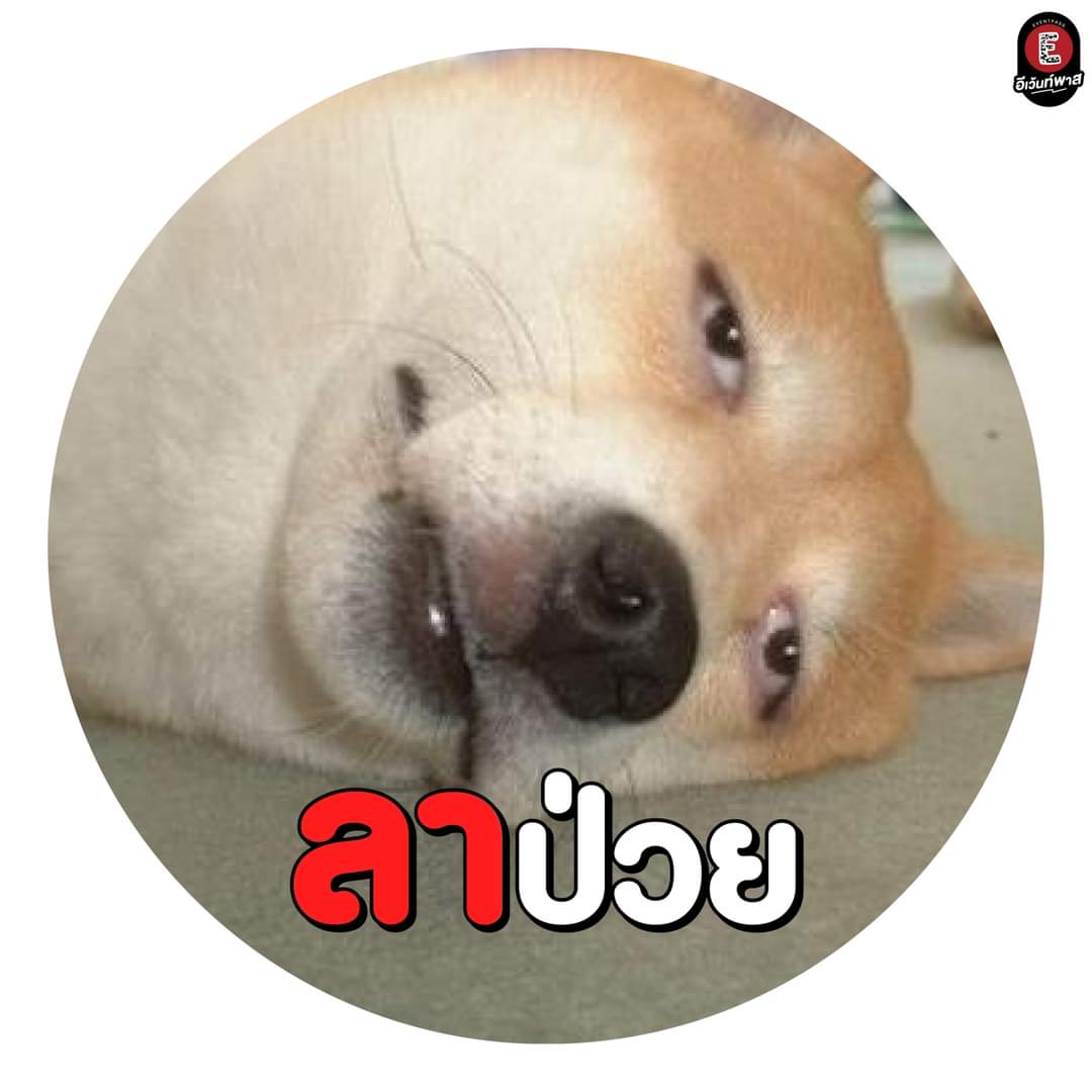 ขอยาดคับ <a href="/MillicentMyLove/">𝒜𝓇𝓂𝒾𝓉𝒶𝑔𝑒 𝐻𝓊𝓍</a>