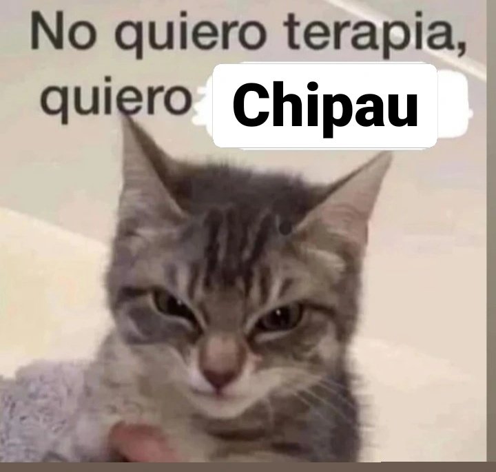 Ta complicada la semana, se soluciona con una chipau.
Pedidos por aquí: api.whatsapp.com/send?phone=543…