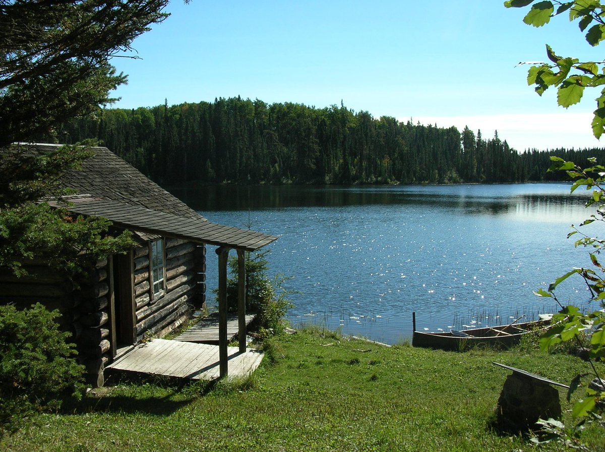 BradleyTim's tweet photo. My older brother called tonight with the "blueberry picking" update. He and his wife picked 35 baskets and sold them for $700.00 cash. He also said the cabin on the trout lake is in "high gear" and I may take a week in September, drive down and help him build it. Let's #GoFishin https://t.co/jpxGpxtSGp