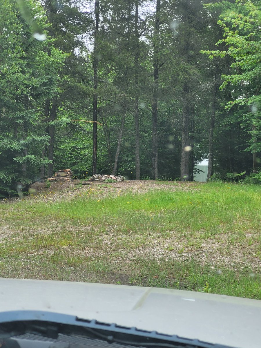 BradleyTim's tweet photo. My older brother called tonight with the "blueberry picking" update. He and his wife picked 35 baskets and sold them for $700.00 cash. He also said the cabin on the trout lake is in "high gear" and I may take a week in September, drive down and help him build it. Let's #GoFishin https://t.co/jpxGpxtSGp