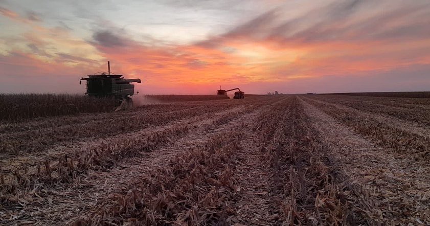 Integral Agropecuaria SRL tweet media