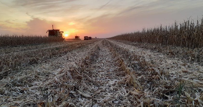 Integral Agropecuaria SRL tweet media