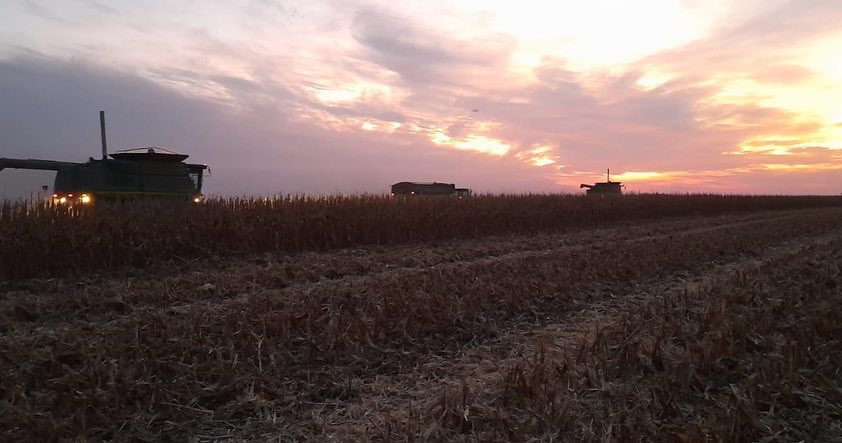 Integral Agropecuaria SRL tweet media