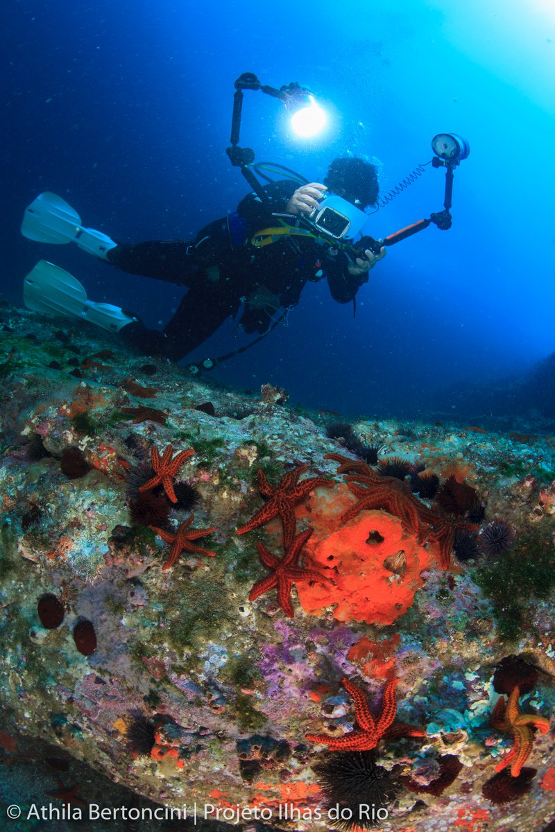 The world is a miracle. If you look up at night and you can see the stars, imagine that in all of the universe our particular place in the universe is favorable to use.