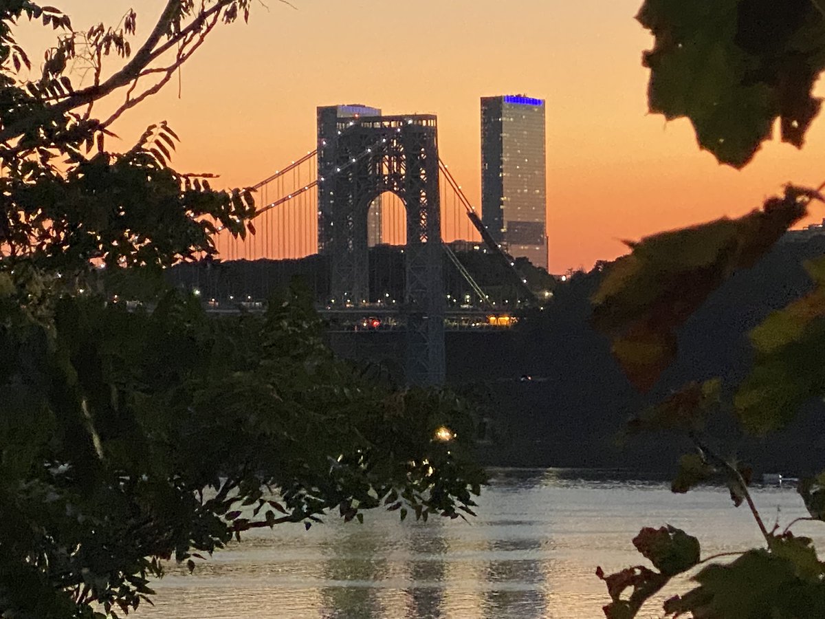 #ny1pic
