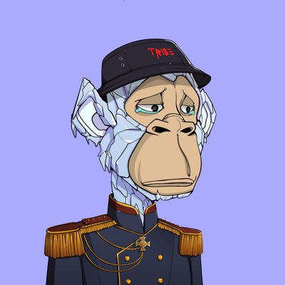#NewProfilePic Looking for my brothers and sisters in uniform #admirals #TRIBΞ by <a href="/0xApes_NFT/">0xApes</a>