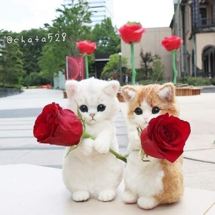 #صورة_ملف_شخصي_جديدة