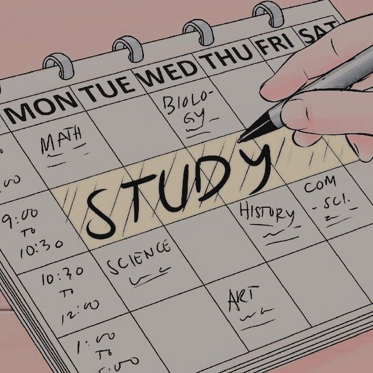 studywray's tweet image. 🔎 : #studytwt #studytwtbr #langtwt 

• me chamo Ray.
• Em busca da aprovação na faculdade. 
• atualmente me interesso por engenharia elétrica, engenharia eletrônica e programação. 
• um dos meus objetivos é aprender inglês e espanhol sozinha.

 🫶