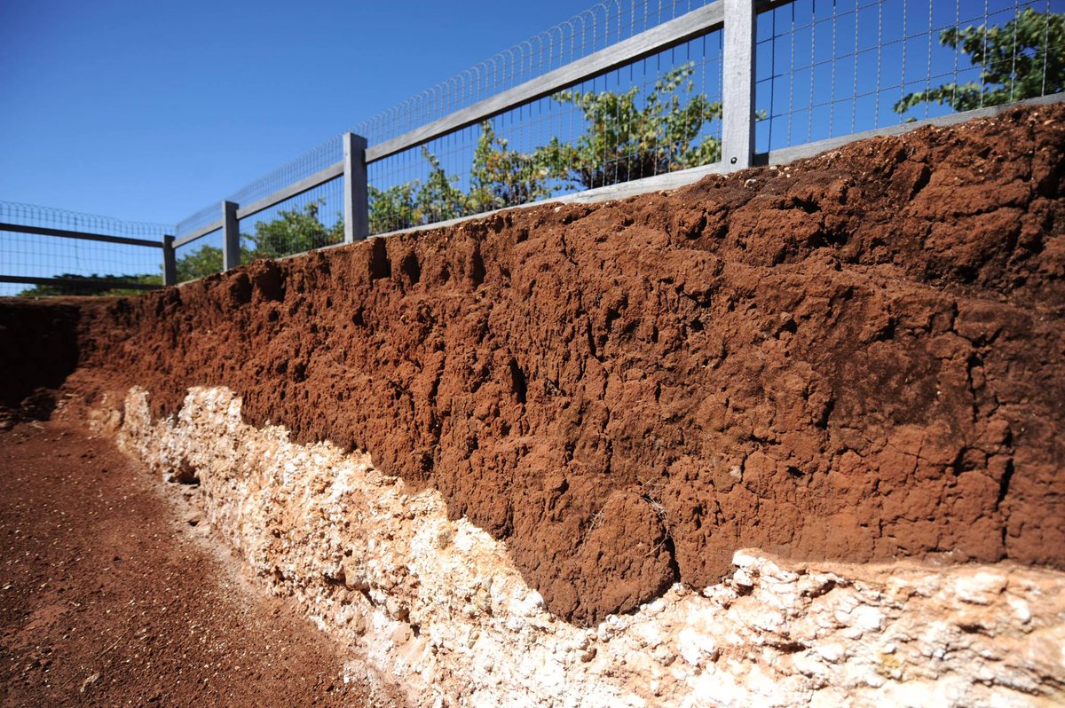 Australia, South Australia: Wynns John Riddoch #CabernetSauvignon 1985-2019. 

📖 Erin Larkin's full review here: lnkd.in/gQ3F3NR6

📷: Erin Larkin &amp; Wynns Coonawarra Estate