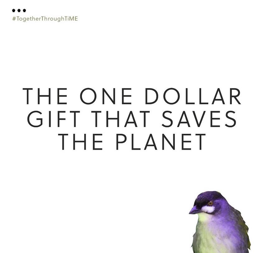 ThisisMyEarth's tweet photo. The 1 dollar gift that saves the planet is here:
Go to our website:
https://t.co/KWl9EgJBXz
Donate in honor of someone:
They will receive an amazing link with their voting right.
#TogetherThroughTiME #conservation #thisismyearth https://t.co/CstRdnQCEl