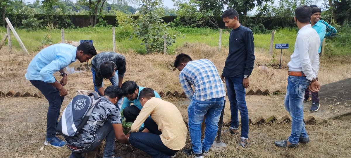NSSPithora's tweet photo. Poster competition and Plantation organized by NSS Govt. College Pithora

#plantations 
#horticulture @askabir_ @ConnectingNss @_NSSIndia @NSSRDBhopal @NssrdB @NssChhattisgarh @PMOIndia  @SamarendraS21 @YASMinistry  @_NSSAwards @AgriGoI @NeetaBajpai5 @ChhattisgarhCMO https://t.co/hzwfj8aHql
