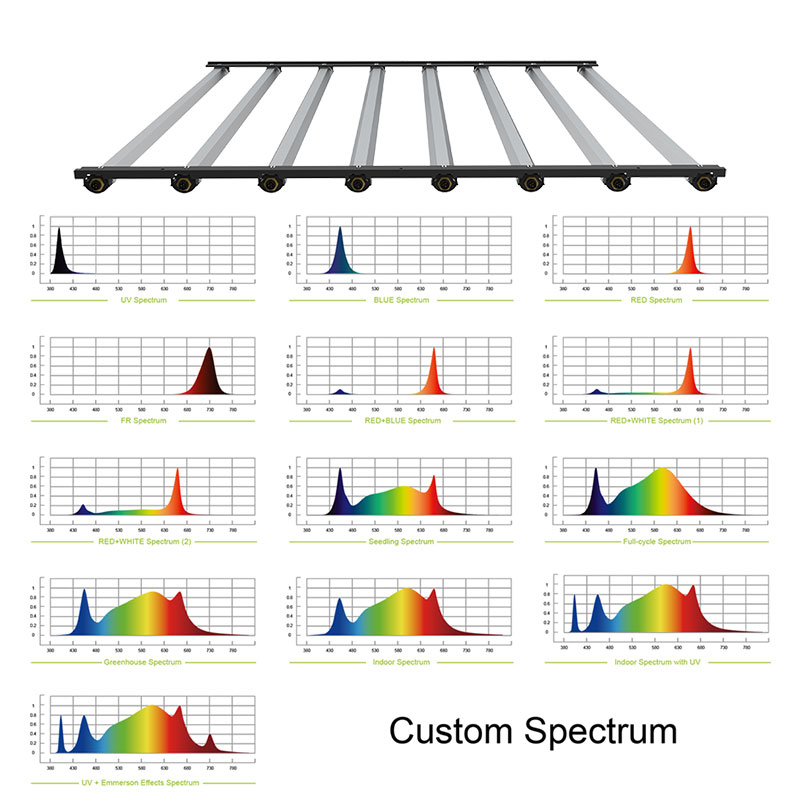 SunnyPower15's tweet photo. Do you know how to choose a grow light for your plants?The #Muizlux SD series LED grow light module is optimized for closed, climate-controlled #cultivation facilities, such as city/ #verticalfarms, propagation and research centers that use multilayer growth systems to grow crops https://t.co/fhfTJESKfx