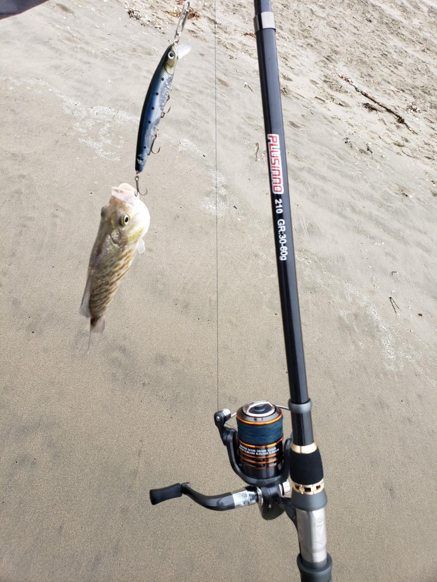 PlusinnoUSA's tweet photo. Good things come to those who bait.
Go fishing no hassle with #plusinno fishing rod and 12 bearings reel
https://t.co/ji4FP9IgdM
.
.
.
#fishing #fishingrod #fishingreel #fishingtime #fishingtrip #fishinglife https://t.co/BdB7IjNL9L
