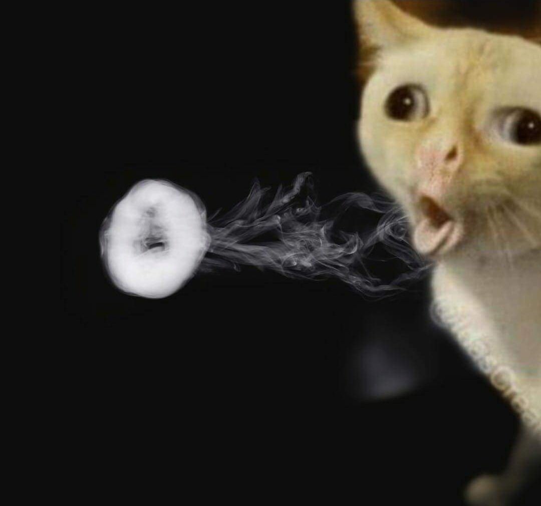 Курящий кот