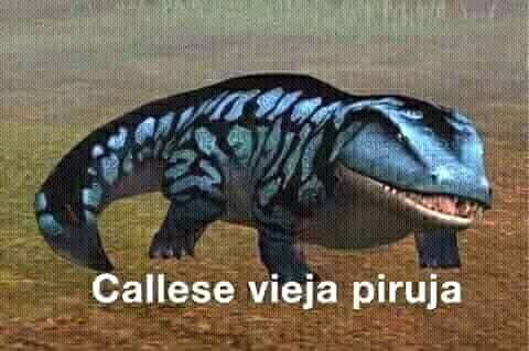 Tu sicaria ✨️ tweet media