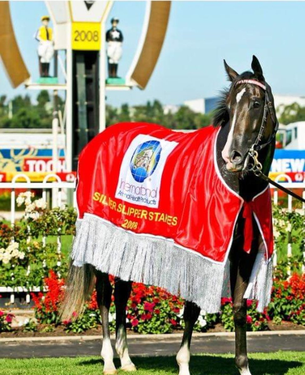 alex_tout's tweet photo. @tabcomau Amelia's Dream 💓 https://t.co/Q07tVhhL4U