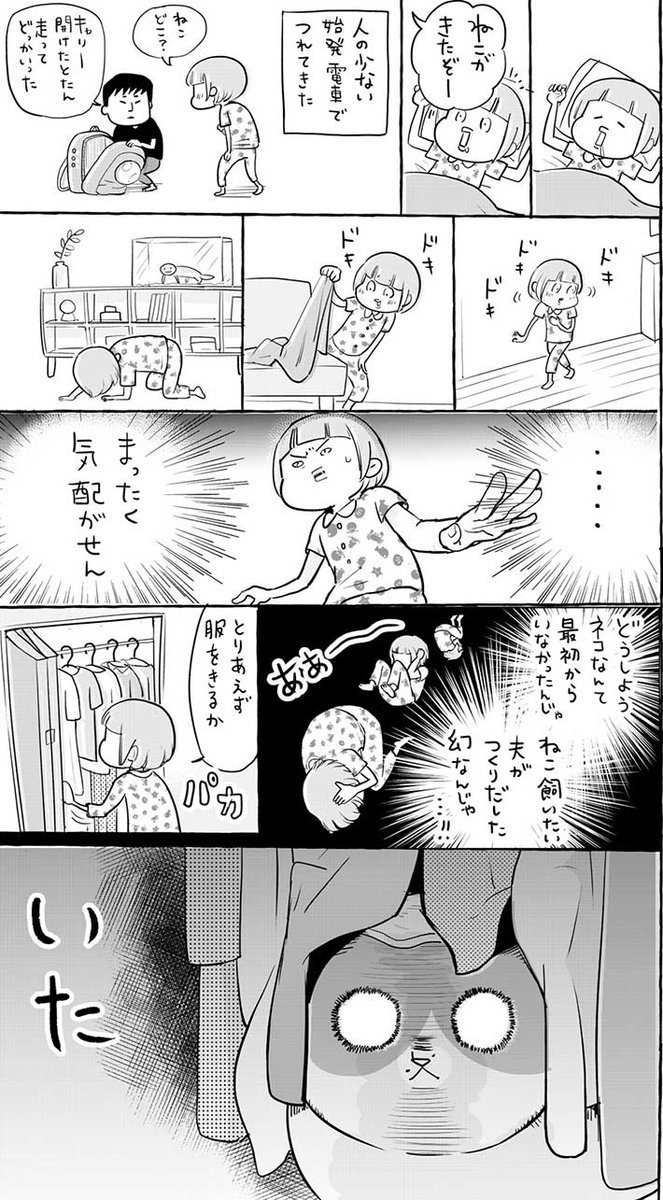 夫の実家から猫がやってきた! 到着後、走ってどこかへ行ってしまい? https://t.co/3tETJdnnye @grapeejpより 