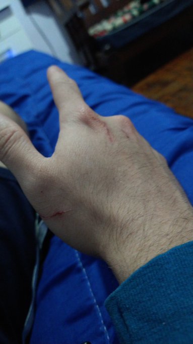 Uno de los michis bebes no soltaba un hueso de pollo... https://t.co/9iEbpNqC6j<a href="/tag/pornhub"class="tags"><span>#pornhub</span></a>