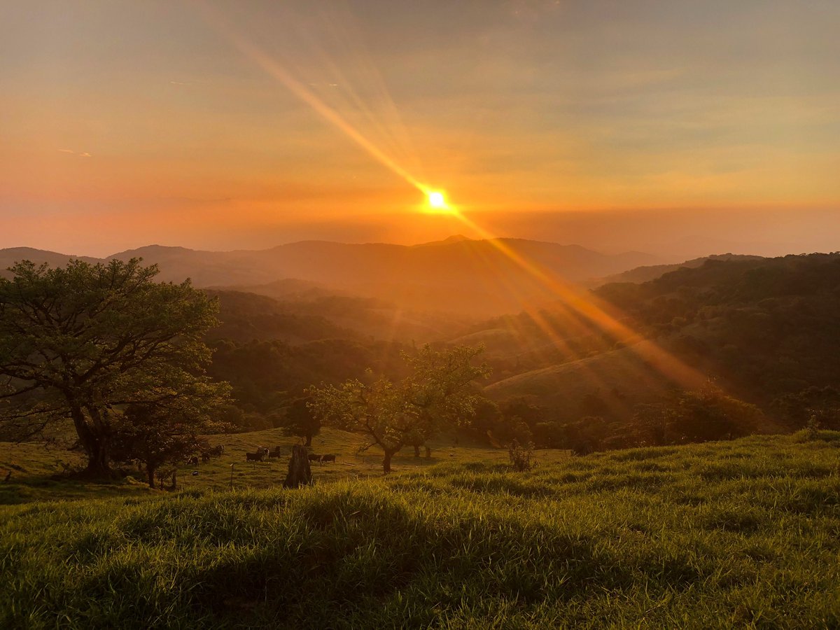 Lindsey_Cow's tweet photo. @WestJet Monteverde, Costa Rica. A friend took us to his farm, this was the view from their barn. 😍 https://t.co/sTI2vdwFAi