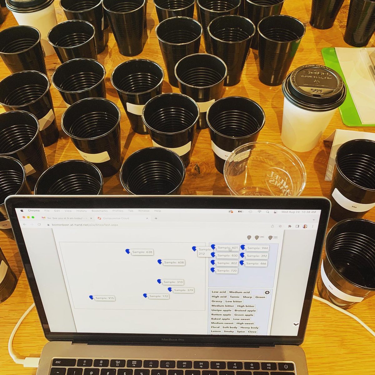 New York Cider (@newyork_cider) on Twitter photo Cider Sensory Analysis 2022-Special thanks to <a href="/glynwood/">The Glynwood Center for Regional Food and Farming</a> <a href="/AngryOrchard/">Angry Orchard</a> and all the cider champs for the major R&E! #newyorkcider #nycider #newyorkciderassociation #cider #drinkcider #ciderlover #hardcider #nyapples #applesfromny #newyorkapples #ciderweeknewyork #pickcider Cider Sensory Analysis 2022-Special thanks to <a href="/glynwood/">The Glynwood Center for Regional Food and Farming</a> <a href="/AngryOrchard/">Angry Orchard</a> and all the cider champs for the major R&E! #newyorkcider #nycider #newyorkciderassociation #cider #drinkcider #ciderlover #hardcider #nyapples #applesfromny #newyorkapples #ciderweeknewyork #pickcider