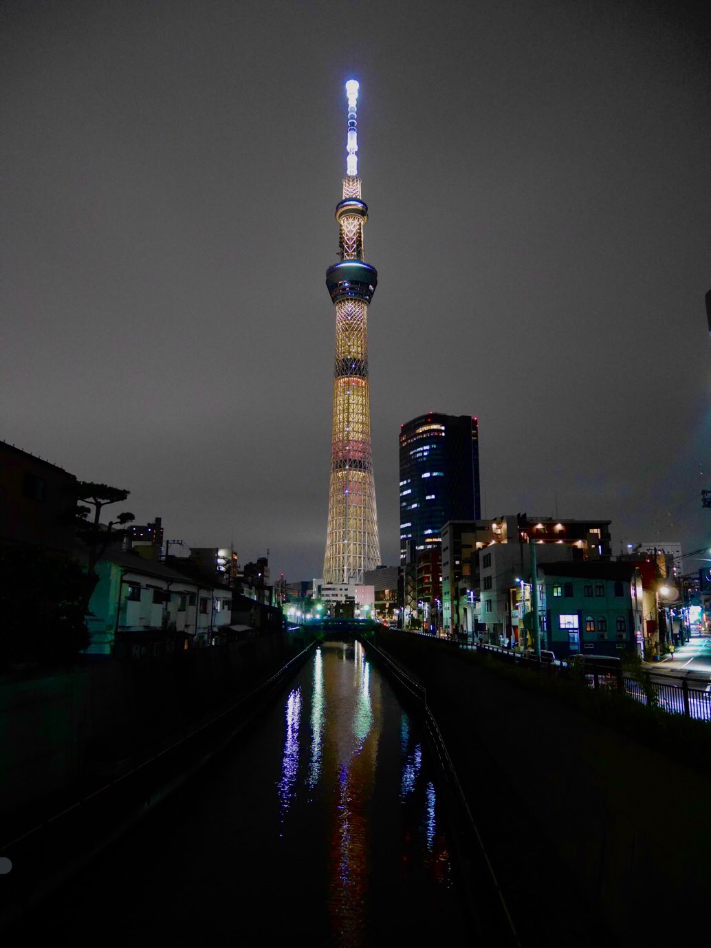 تويتر ろーず على تويتر 昨日は成田空港に寄ってからの スカイツリー エティハド航空のお花の飛行機が見られたよ スカイツリーは私が当時見に行けなかったピカチュウの10万ボルトライティングのリバイバル T Co Tqfi5smhq1