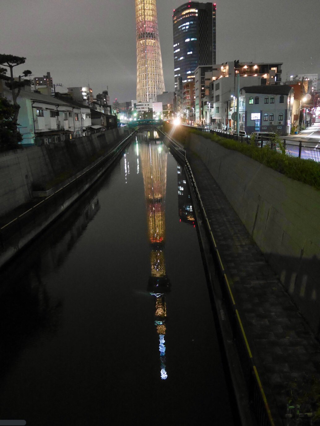 تويتر ろーず على تويتر 昨日は成田空港に寄ってからの スカイツリー エティハド航空のお花の飛行機が見られたよ スカイツリーは私が当時見に行けなかったピカチュウの10万ボルトライティングのリバイバル T Co Tqfi5smhq1