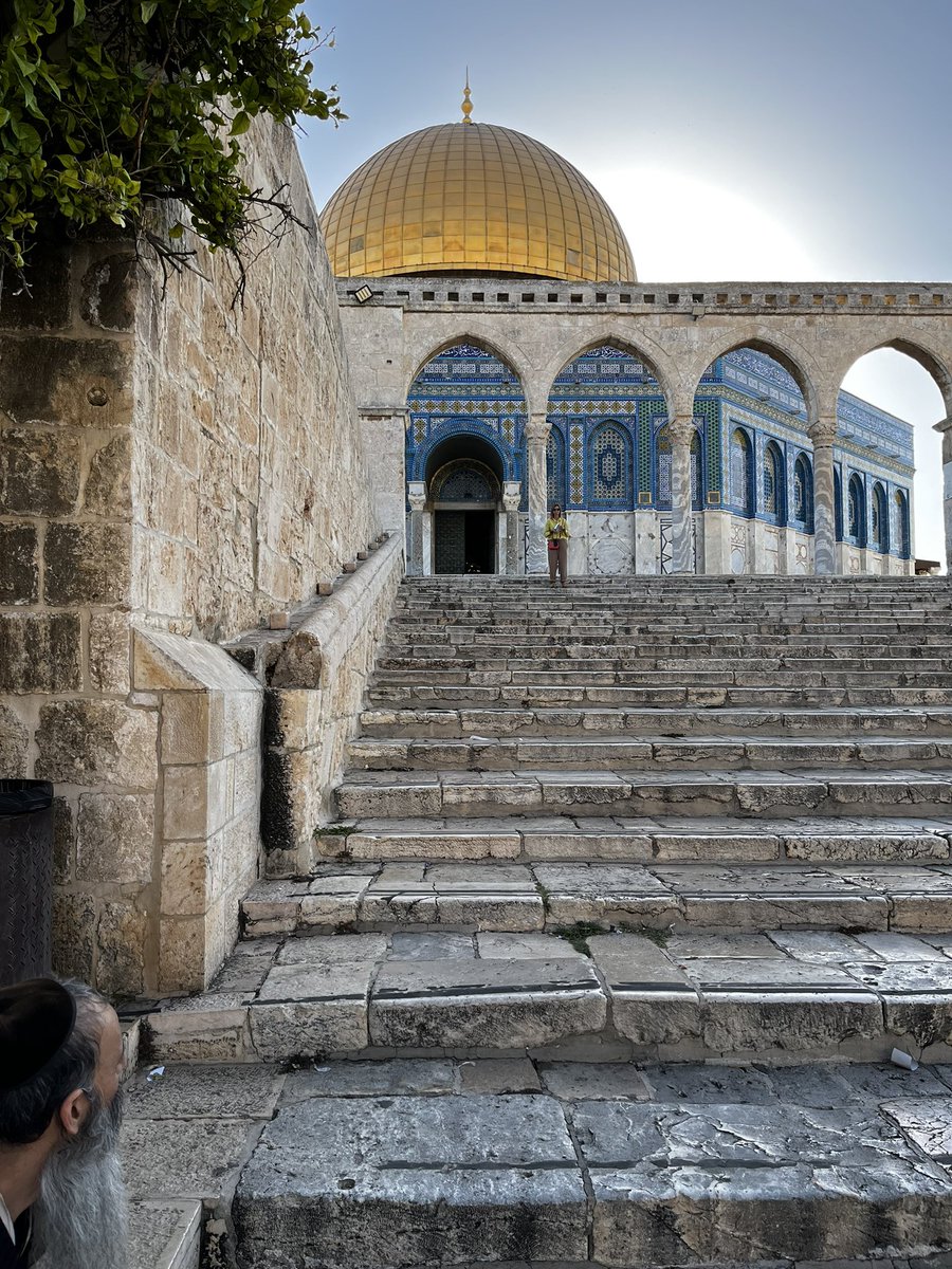 Jérémie L. 𓂆 🇮🇱 tweet media