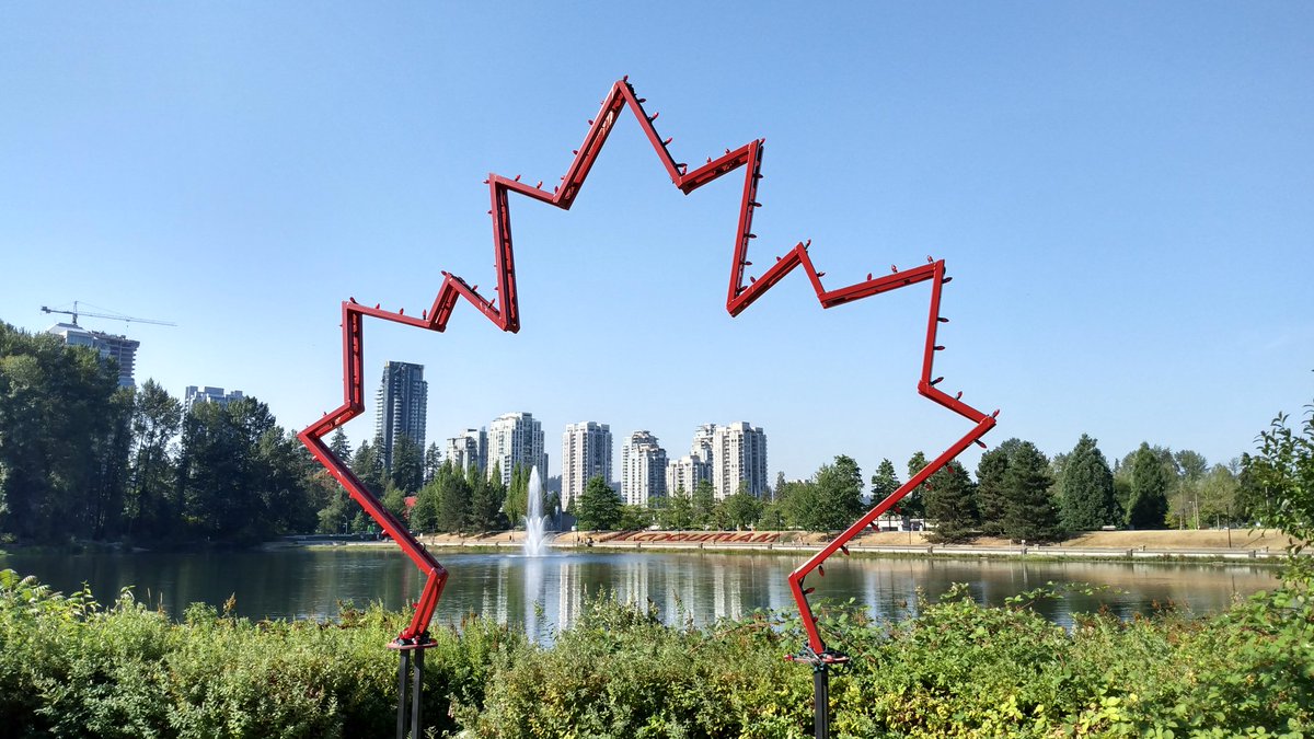 Elsa Chu tweet media