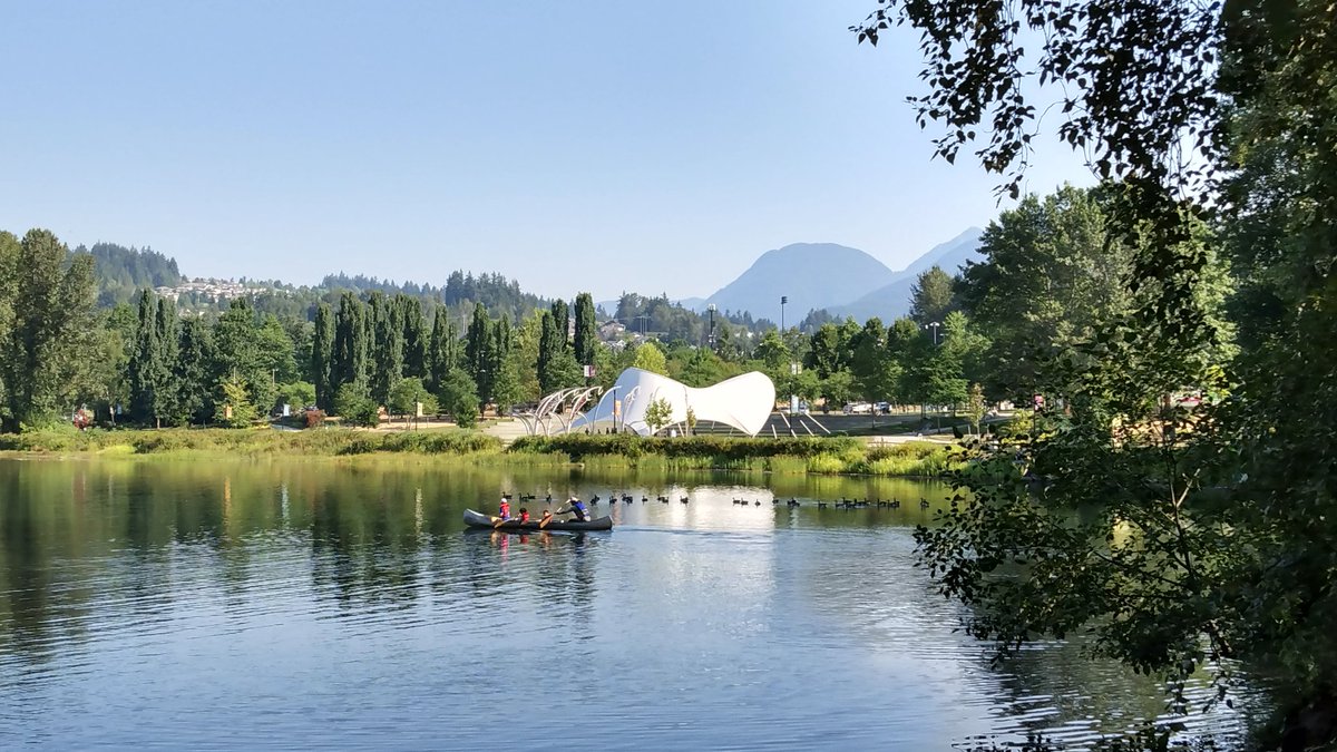 Elsa Chu tweet media