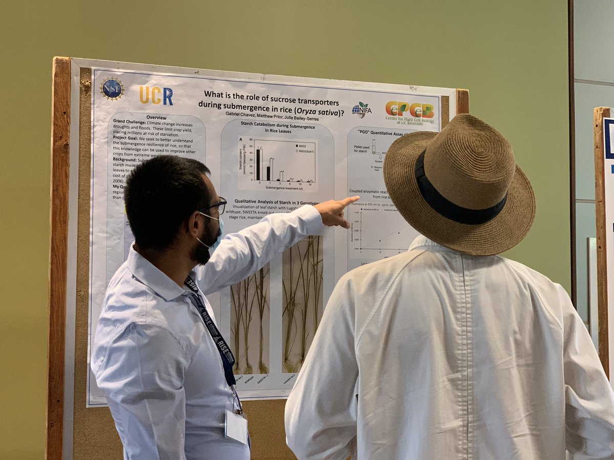 Congratulations to all our students that presented at today’s RISE Symposium!  #UCRscience at its best!