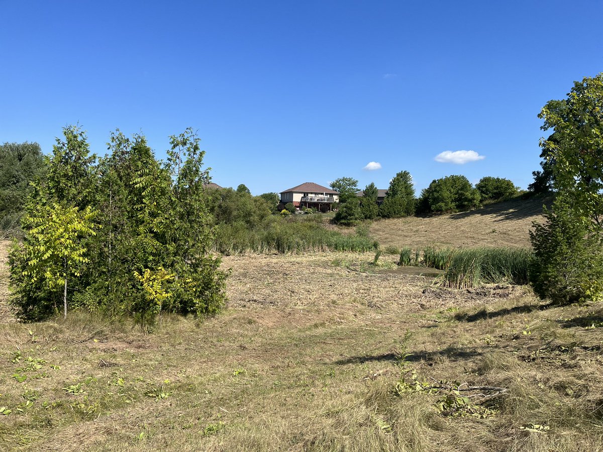 recchiamel's tweet photo. I am outraged about the destruction of the ecosystem in my backyard!#beforeandafter #environmentallaws #naturelovers #brantcounty please save our #environment https://t.co/fvjjlvWKhW
