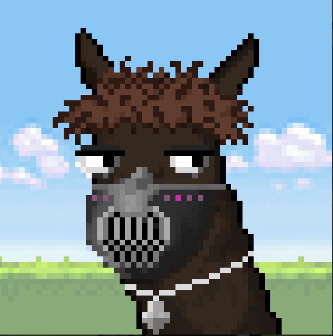 Well it finally happened. I can officially say I am part of the llama family✅❤️ it’s a special day for me, those close to me know how badly I have wanted this for months. Feeling blessed and thankful! 🙏🏼LLAMA FOLLOW LLAMA??👀🦙 <a href="/Llamaverse_/">Llamaverse</a>