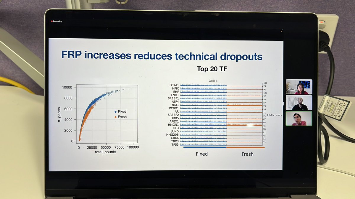 LGMartelotto's tweet image. Better TFs detection! Boom! 

@10xGenomics