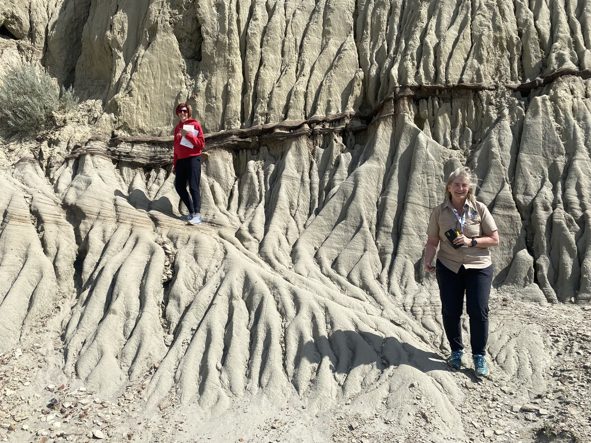 SaskMiningAssoc's tweet photo. Day 5: #SMAGeoventure2022: #CastleButte is a gem of the #BigMuddyBadlands ~70 m high, 0.5 km in circumference. This landscape was carved by #glacial meltwater, exposing Cretaceous (70 MA) & Tertiary (66 MA) rocks to modern weathering & #erosion processes. #Whitemud #artists https://t.co/RFamtyYQuT