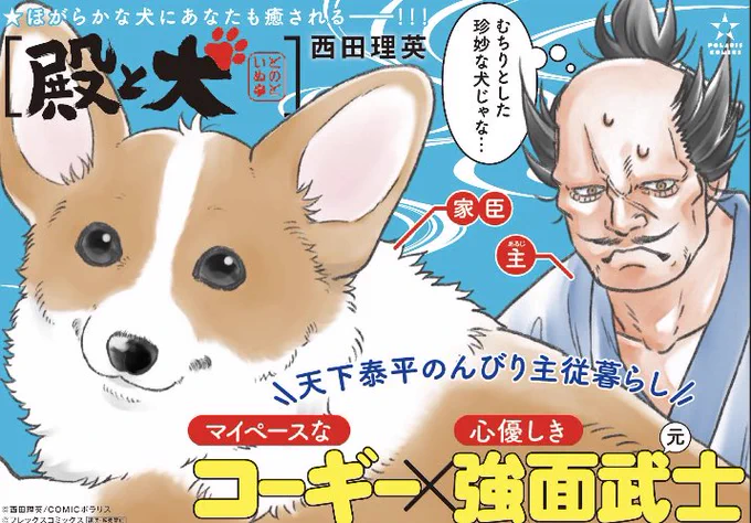 書店特典だけでなく 単行本にも  【単行本限定 描き下ろし漫画】 や 【各話の間に 描き下ろしカットたくさん】 など  ギュギュっと盛り盛りに 描き下ろしを収録しています。 連載で読んだ方もニッコリな 1冊、ぜひ読んでね。  『殿と犬』① 9/15発売です 