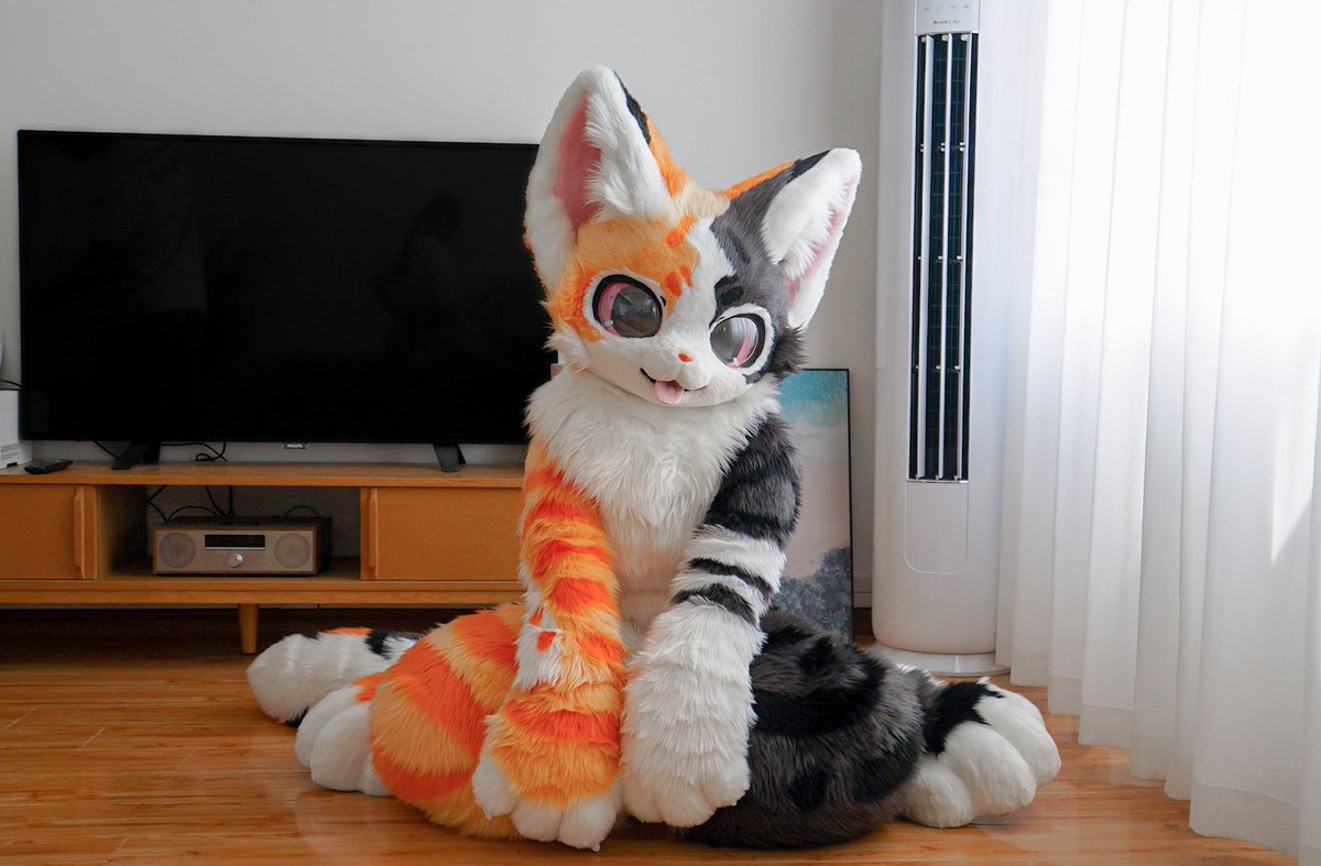 lanyu1231's tweet image. Filming completed, waiting for delivery to the owner#furry#fursuit