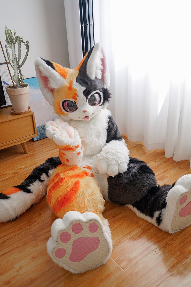 lanyu1231's tweet image. Filming completed, waiting for delivery to the owner#furry#fursuit