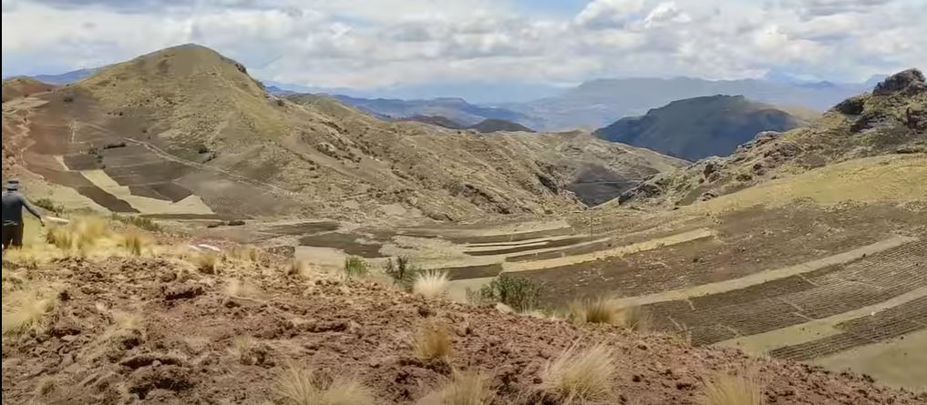 gabychavezd1's tweet photo. Peasant community of Occopata #AndeanEcosystem ..Its #Biodiversity ..Communities of Cactaceas..Cuppresaceas and Poaceas..growing at the hills and the valley of this beautiful place ..The dominant species of this landscape is  represented by Stipa ichu "ichu " #Taxonomy..in #Cuzco https://t.co/KEIheLbGsu