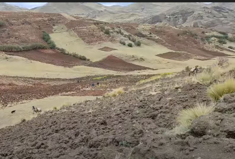 gabychavezd1's tweet photo. Peasant community of Occopata #AndeanEcosystem ..Its #Biodiversity ..Communities of Cactaceas..Cuppresaceas and Poaceas..growing at the hills and the valley of this beautiful place ..The dominant species of this landscape is  represented by Stipa ichu "ichu " #Taxonomy..in #Cuzco https://t.co/KEIheLbGsu