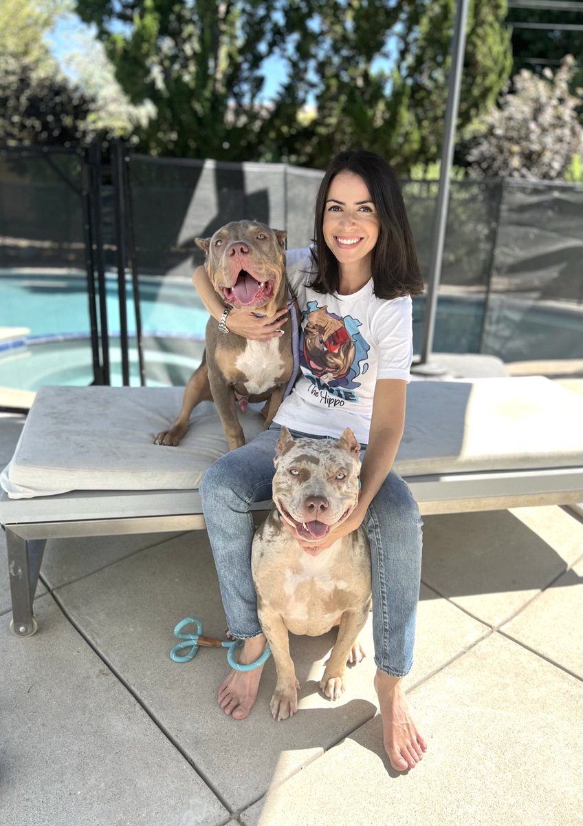 Our founder / president Aleks was not planning to foster-fail with one of our American Bullies, and certainly wasn’t planning on failing with TWO 😂- but sometimes the universe has other plans!

Happy adoption Juni and Silver!
#dogs #istandwithmypack
#dogsoftwitter #rescuedogs