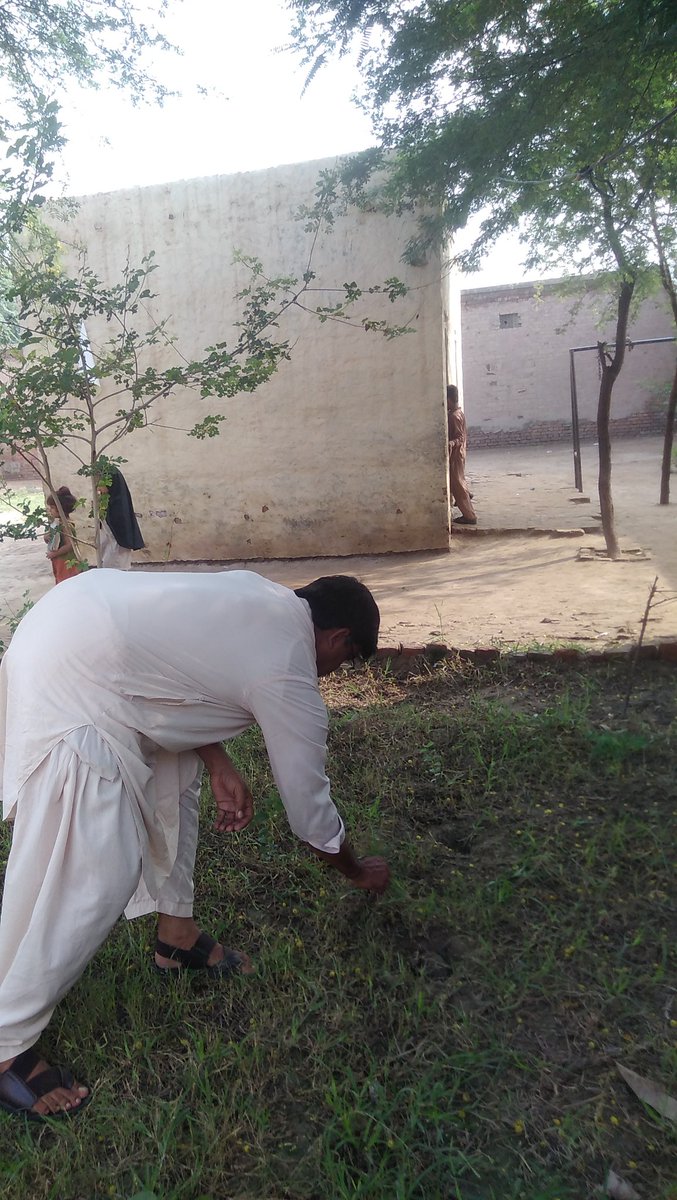 ROYMUHAMMADFAR1's tweet photo. #PEFANTIDENGUE (al ghazali boys middle  school FAS 6-sgd-0020 sargodha) https://t.co/gwfaCdauca